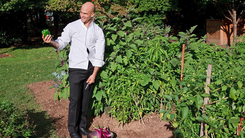 Sam Kass - diventa food enterpreneur