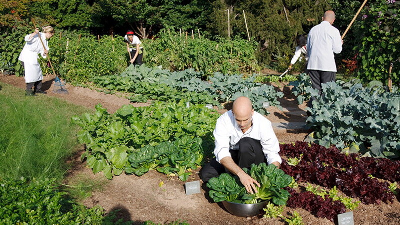 Sam Kass, sostenibilità e food enterpreneur