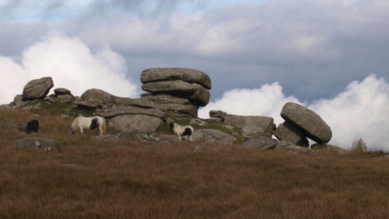 Seguire il folliate 05