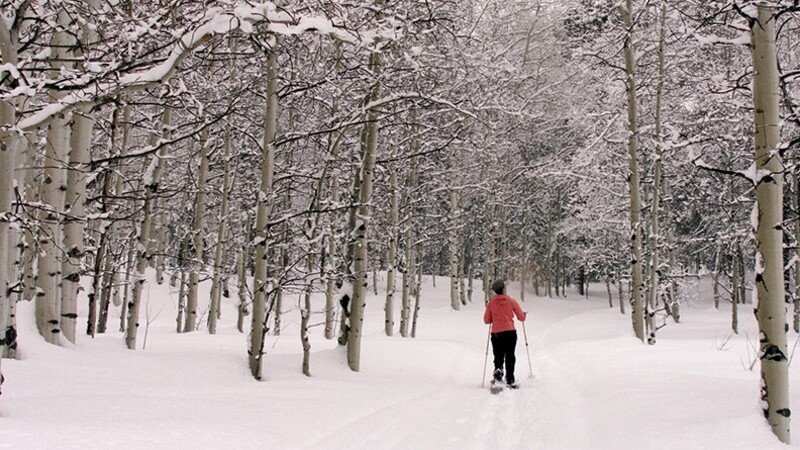 Vacanze di lusso sulla neve