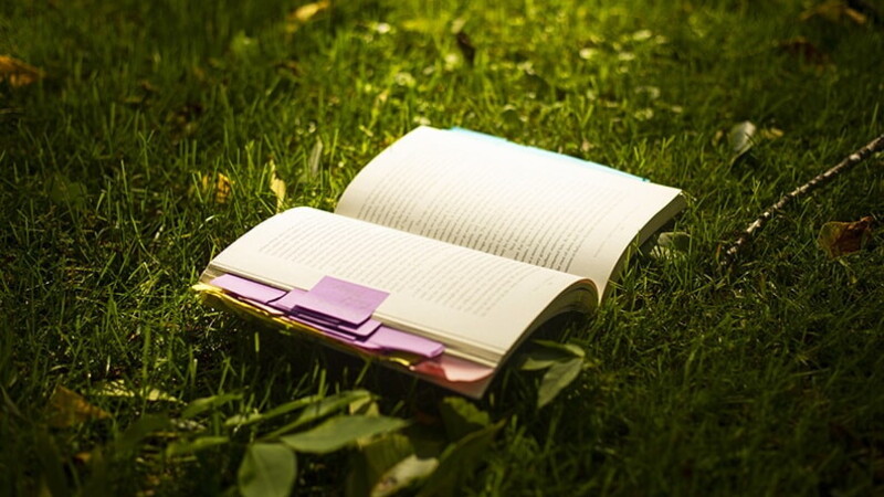 Il potere di una mente aperta 01