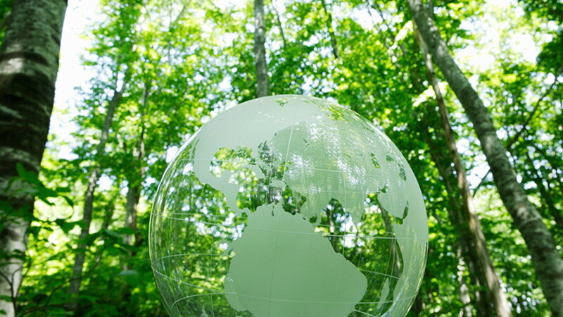 Como a Pirelli vai além da Responsabilidade Social Corporativa e põe a sustentabilidade em seu âmago