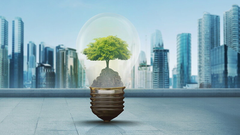 Mudança climática: como combater o aquecimento global e a poluição 1