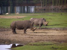 Middagtocht Beekse Bergen