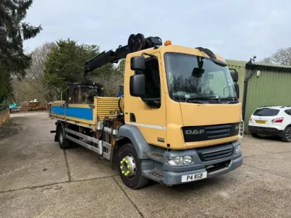 Daf LF55.220 Remote Block Grab img