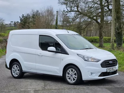 2021 Ford Transit Connect Panel van img