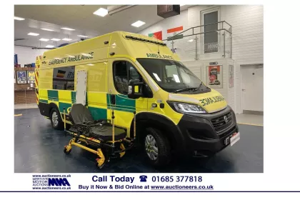 2020 Fiat Ducato Panel Van img