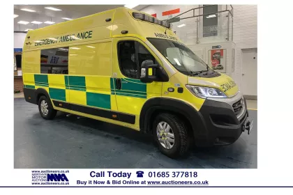 2019 Fiat Ducato Panel Van img