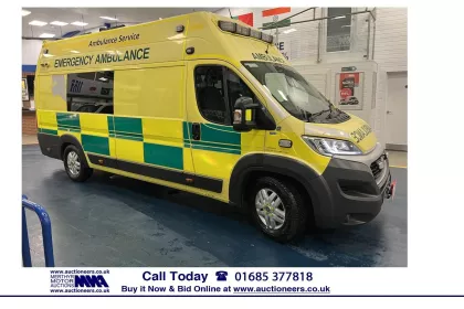 2015 Fiat Ducato Panel Van img