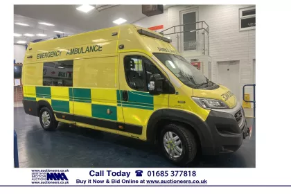 2017 Fiat Ducato Panel Van img