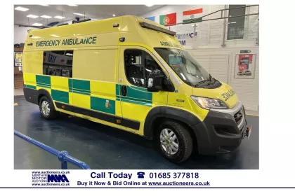 2016 Fiat Ducato Panel Van img