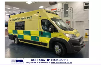 2017 Fiat Ducato Panel Van img