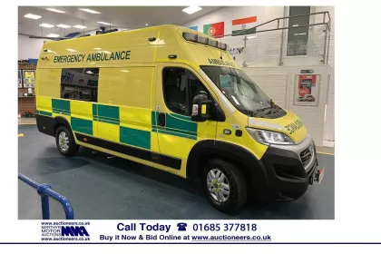 2019 Fiat Ducato Panel Van img