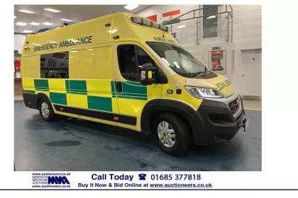 2020 Fiat Ducato Chassis Cab img