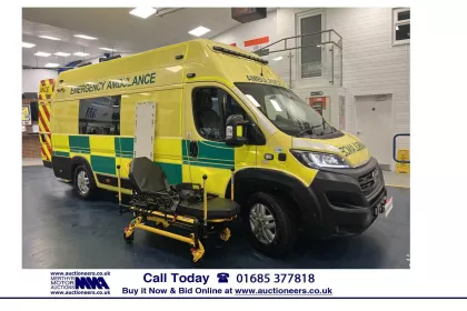 2020 Fiat Ducato Panel Van img