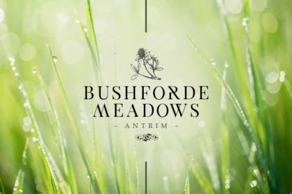 Bushforde Meadows Antrim Brochure Logo
