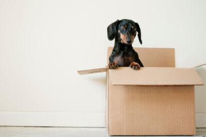 Erda Estremera 581452 Unsplash