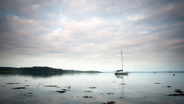 Strangford Lough