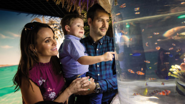 Exploris Aquarium