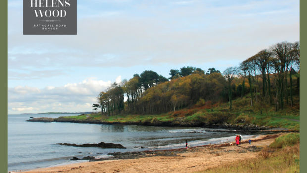 Crawfordsburn Beach