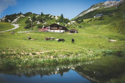 Kriegeralpe Kriegeralpe