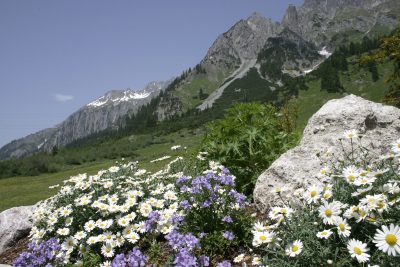 La Loupe Sommer Stuben 3 La Loupe Sommer Stuben 3