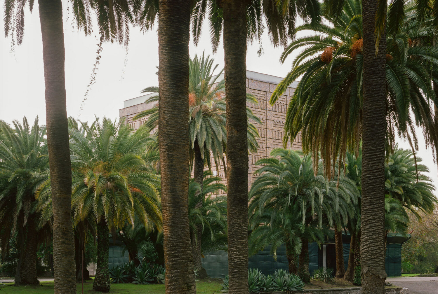 LAN_NAPOLI_2