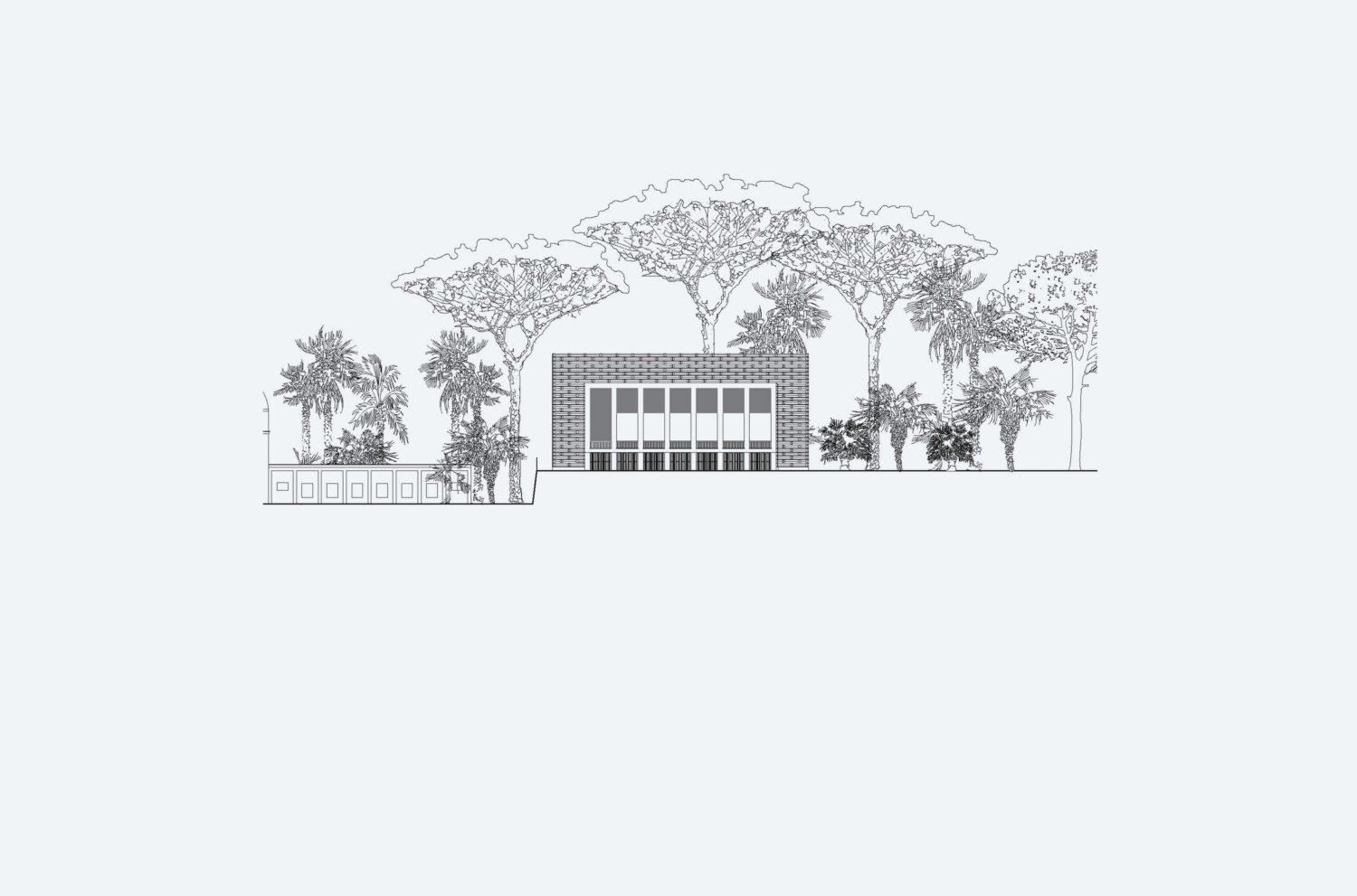 LAN_NAPOLI_DRAWING_7