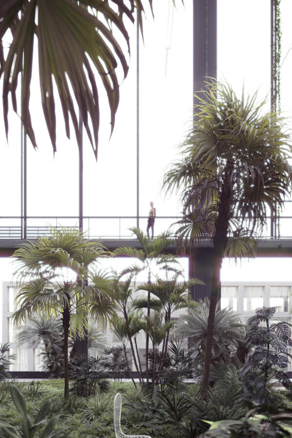 JARDIN01