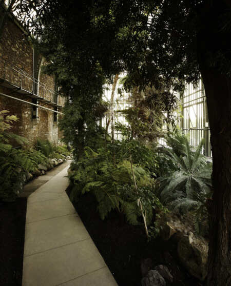 LAN_SERRES_HISTOIRE-DES-PLANTES