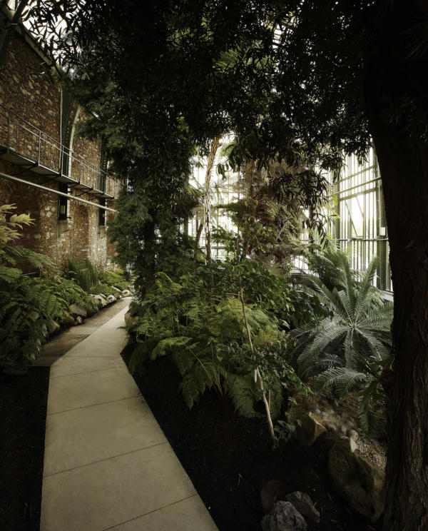 Paris V Lan Local Architecture Network Paris