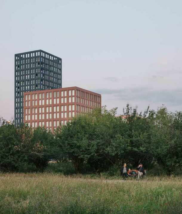 NOLISTRA-cover