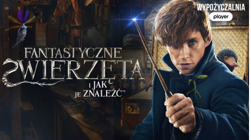 Fantastyczne zwierzęta i jak je znaleźć