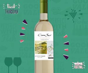 Win a Case of Cono Sur