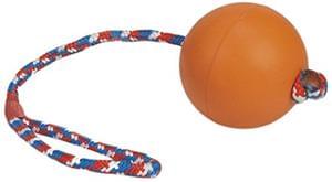 Beeztees Dog Toy just £1.59 Amazon Add-on item
