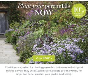 Sarah Raven Perennials. Get 10% Off. ENDS THIS SUNDAY