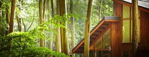 Win a Forest Holiday Plus Bourgeois Boheme shoes