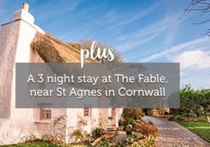 3 night stay at The Fable Cornwall (worth £925) from Unique Home Stays