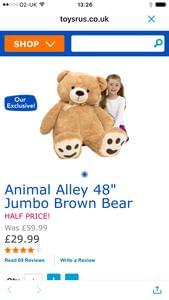 Giant teddy bear half price