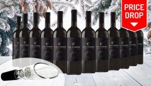 12 Bottles of Award-Winning Castillo Red Wine & Free delivery under £40!