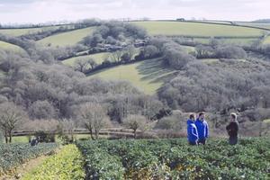 Wellness package worth £500