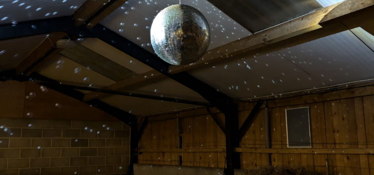 Ouseburn Farm Disco Ball