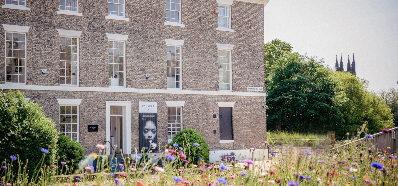A stone building, the Hancock Gallery in Newcastle, stands behind a vibrant wildflower meadow under a sunny sky