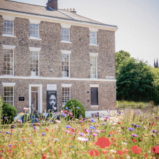 A stone building, the Hancock Gallery in Newcastle, stands behind a vibrant wildflower meadow under a sunny sky