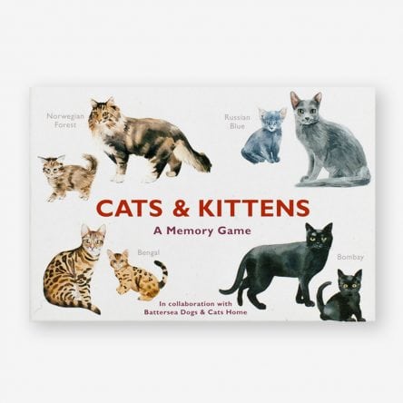 Cats & Kittens