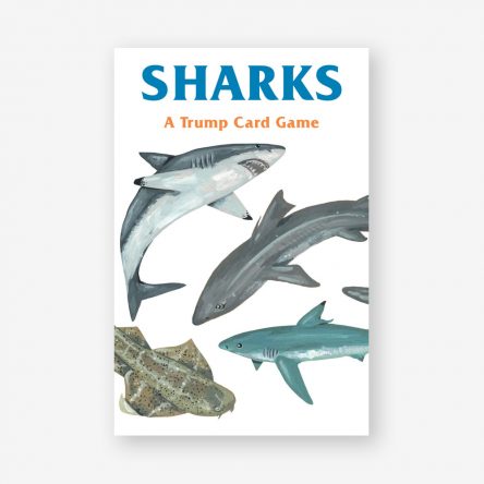 Sharks