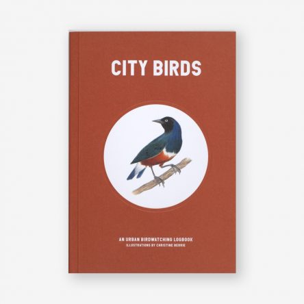 City Birds