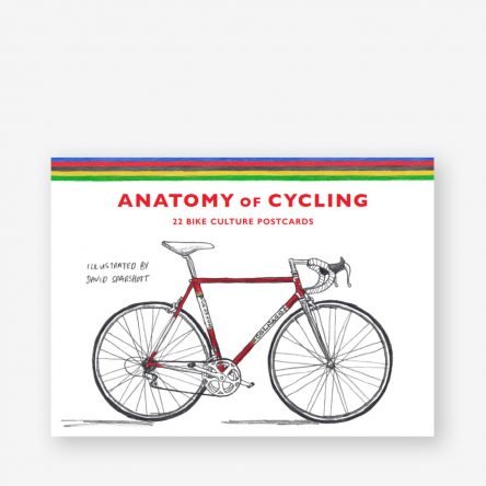 The Anatomy of Cycling