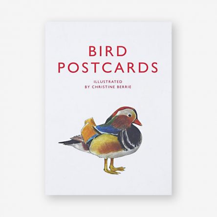 Bird Postcards