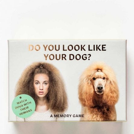 Do You Look Like Your Dog?